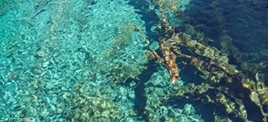 水質怎么分類的？
