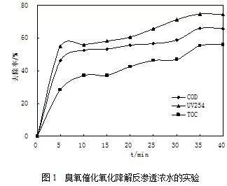 臭氧(催化)氧化技術(shù)在污水處理廠提標(biāo)改造中的應(yīng)用- 臭氧(催化)氧化技術(shù)在污水處理廠提標(biāo)改造中的應(yīng)用-